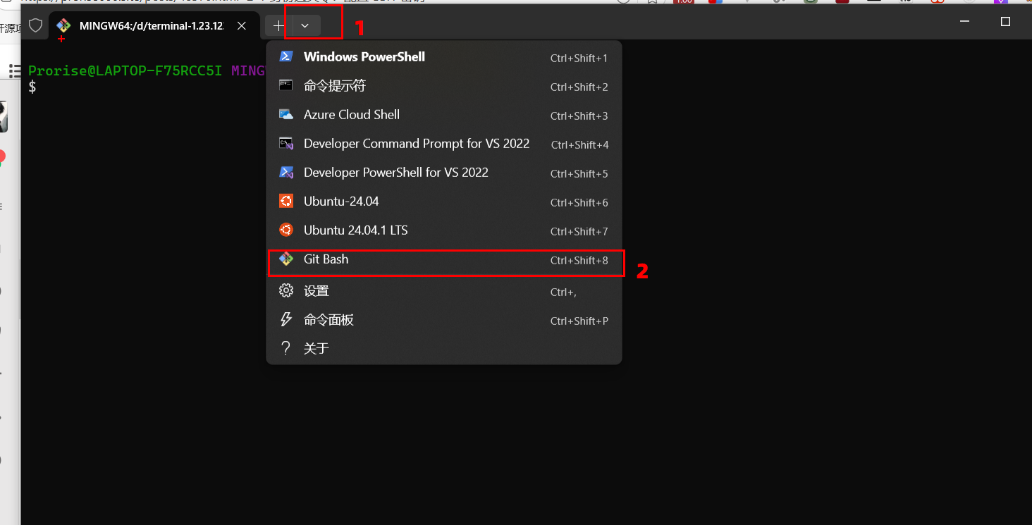 image-20251211123722892