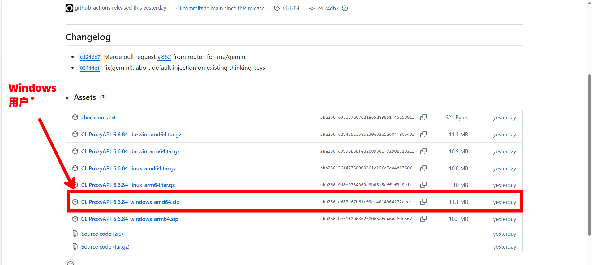 image-20260106124640403